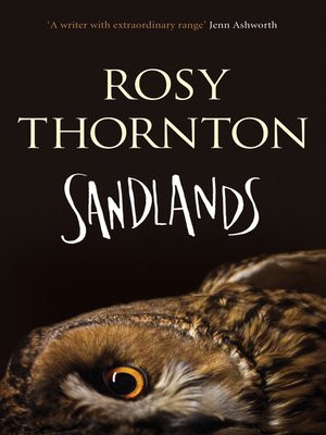 cover image of Sandlands